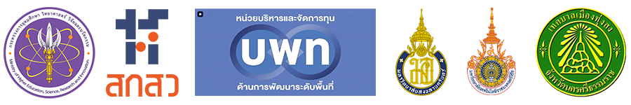 Thungsong City CCTV Logo